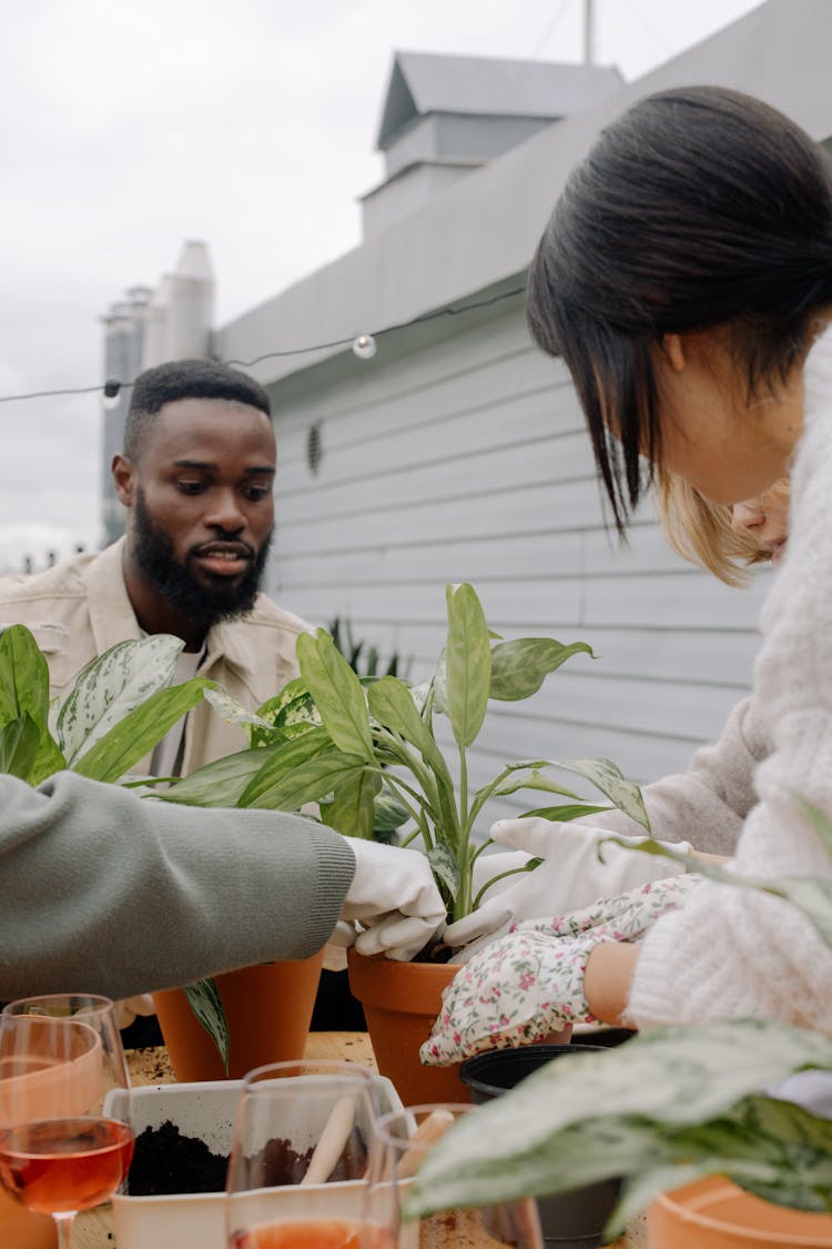 Group Of People Gardening Together