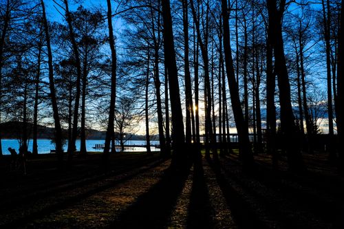 Free Silhouetted trees by a lake during sunset, creating a tranquil and scenic view. Stock Photo