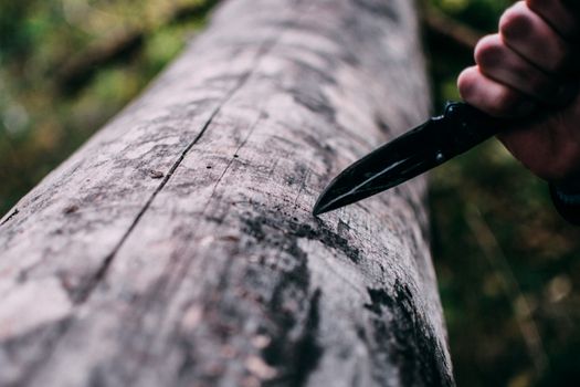 A close-up view of a pocket knife carving into a tree log outdoors.