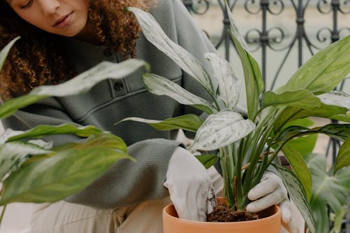 A Woman Doing Gardening