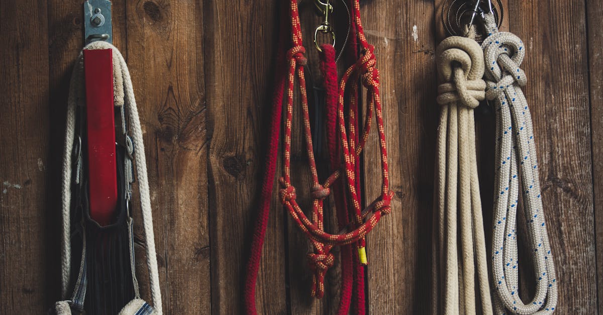 Four Ropes Hanged on Brown Board