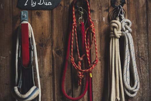 Close-up of vibrant ropes and equipment hanging against a wooden wall, evoking an adventurous and rustic feel.