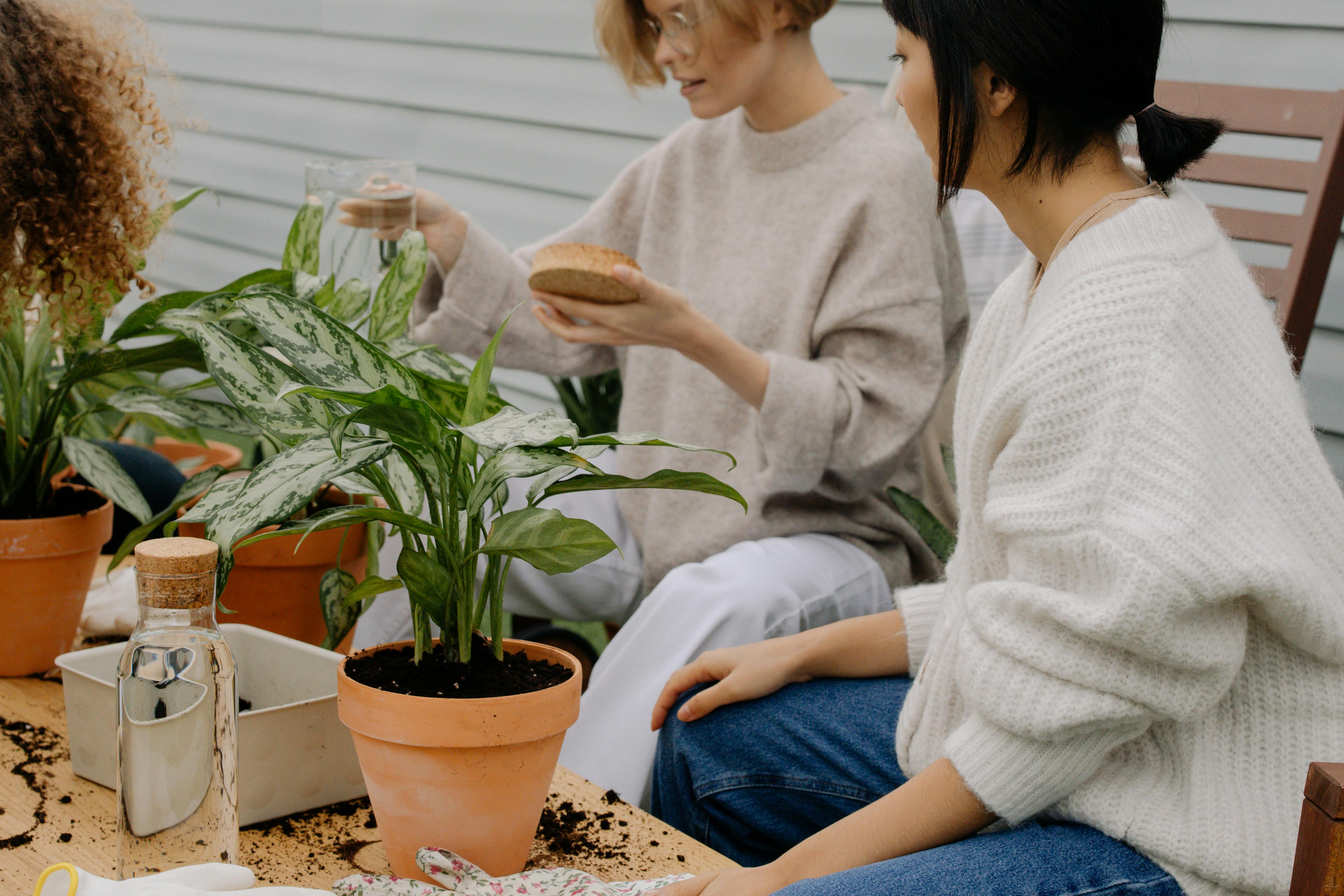 gardening ideas — Photo by cottonbro studio on Pexels