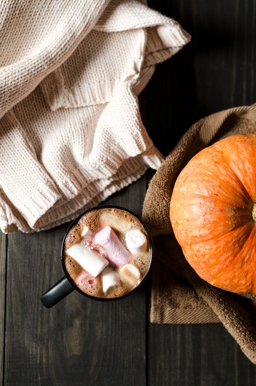 Free Warm cup of hot chocolate with marshmallows beside a pumpkin, embodying autumn coziness. Stock Photo