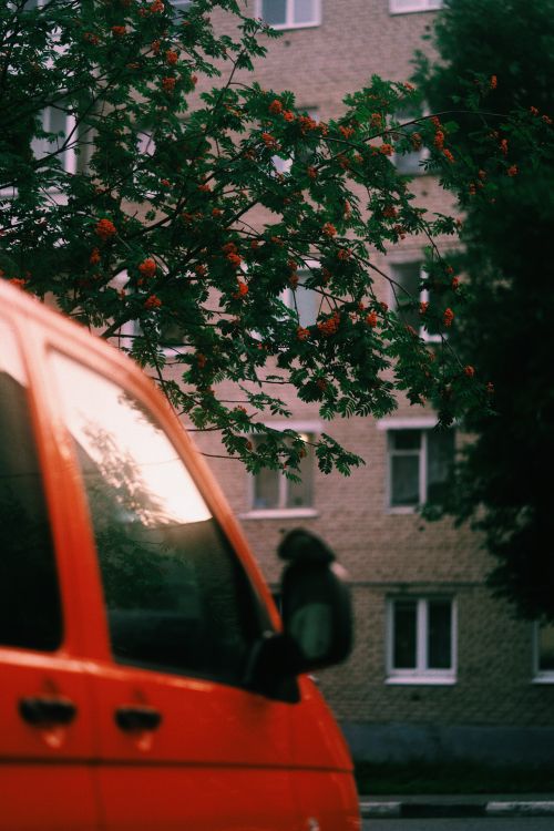 Black Car Side Mirror · Free Stock Photo