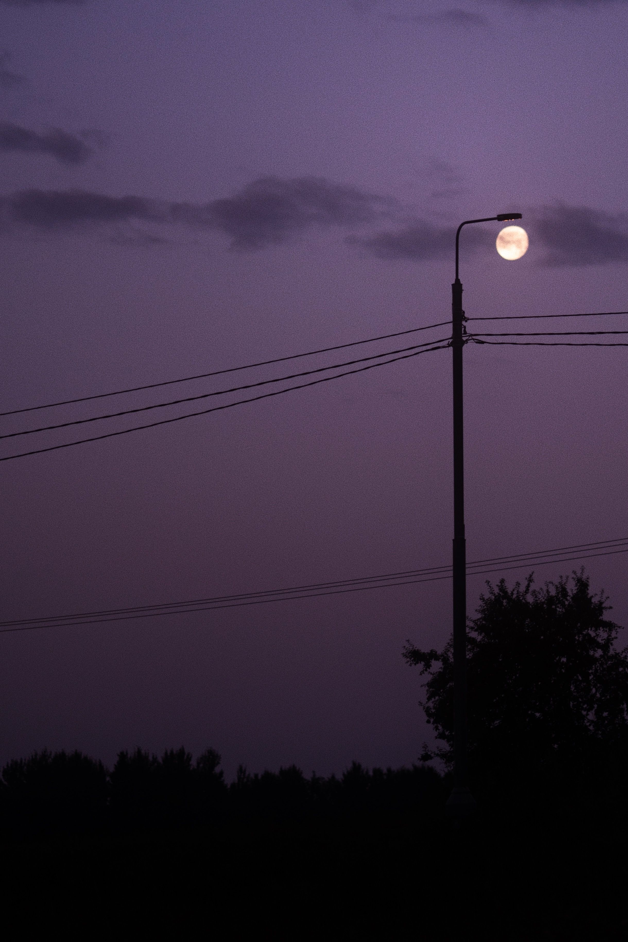Silhouette of a Man Standing Near Power Lines · Free Stock Photo