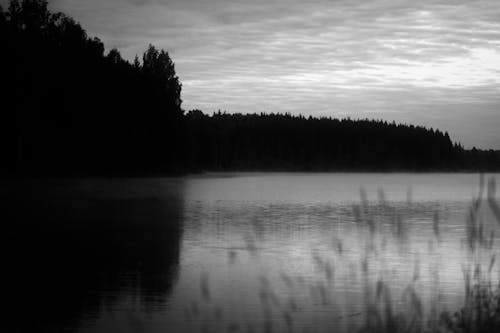 คลังภาพถ่ายฟรี ของ ขาวดำ, ซิลูเอตต์, ทะเลสาป