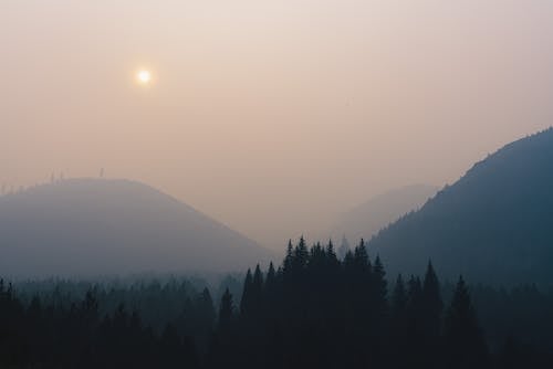 Fog over Mountains and Forest