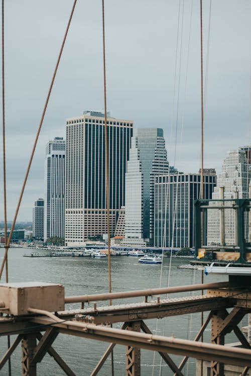 White and Blue High Rise Buildings Near Body of Water