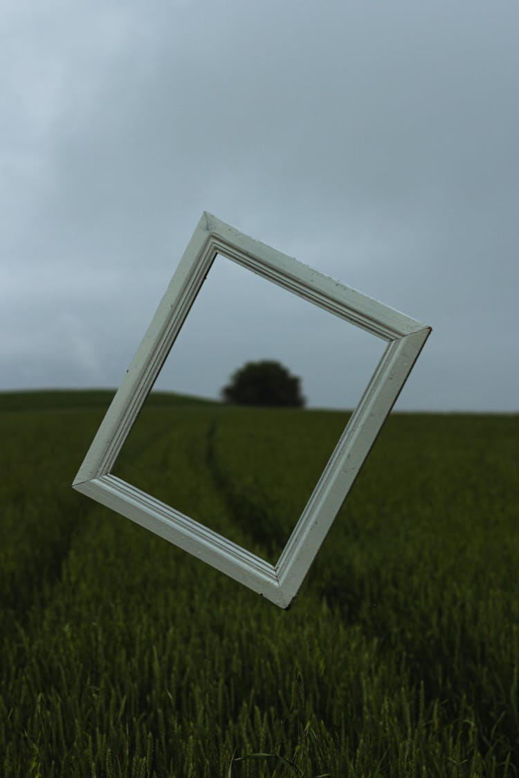 Photo Of A Frame On A Field 