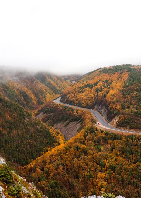 A scenic foggy mountain road winding through autumn trees in Cape Breton Highlands, Nova Scotia.