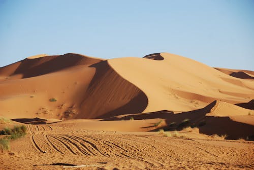 Foto d'estoc gratuïta de àrid, calor, cel clar