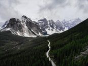 Green Trees Near Snow Covered Mountain