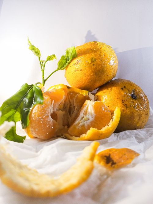 Free Vibrant fresh oranges with green leaves against a white background in bright lighting. Stock Photo