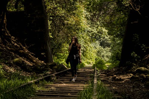 Gratis stockfoto met avontuur, bomen, Bos