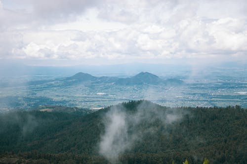 Foto stok gratis awan putih, hutan, lansekap