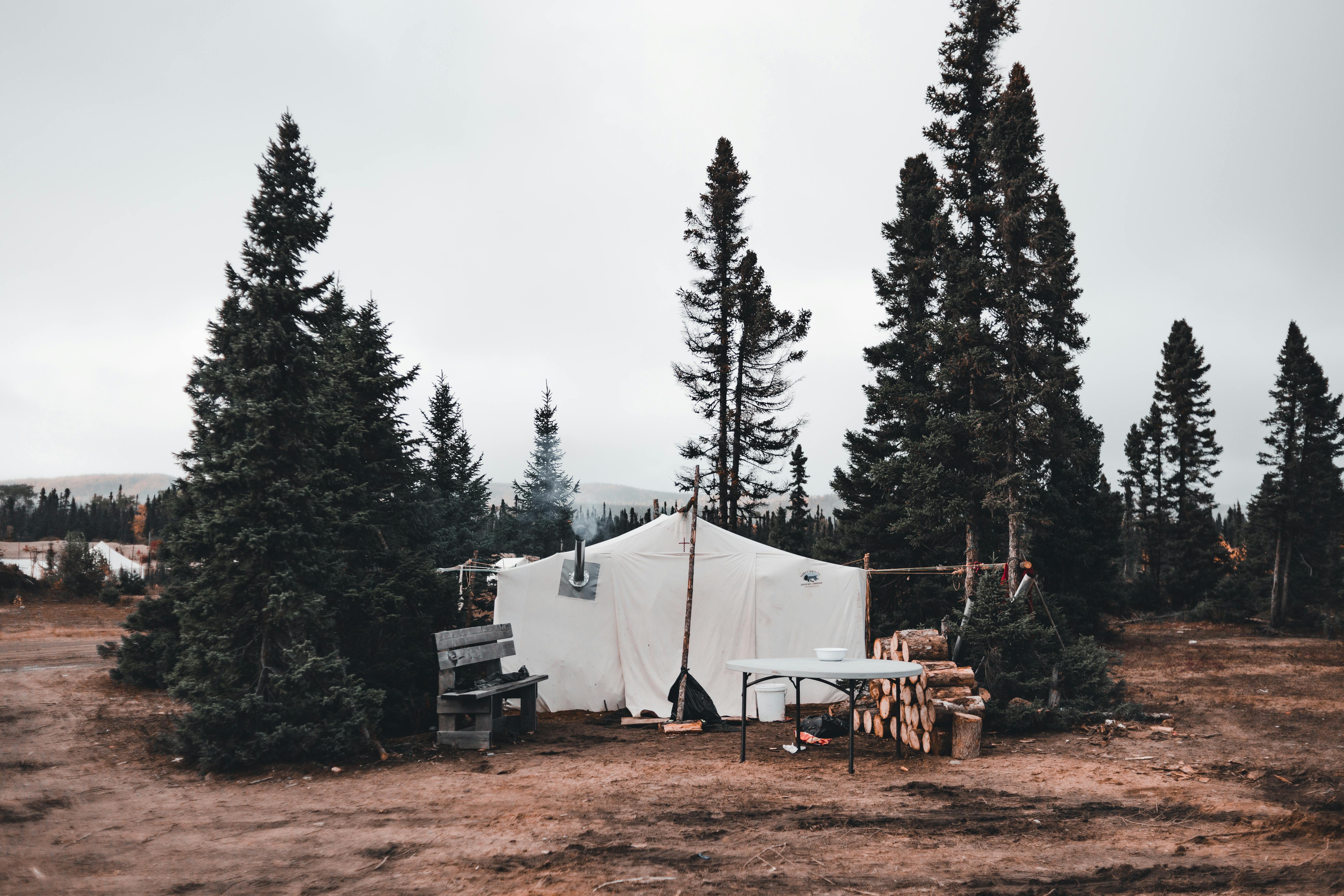 Scenic outdoor camp setup with a white tent among tall pine trees in a forest.