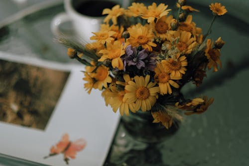 Buds and Yellow Flowers in Clear Glass Vase