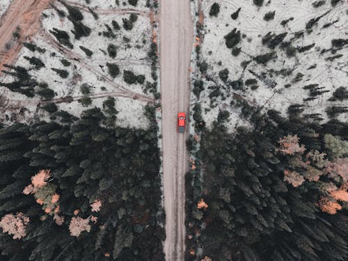 Immagine gratuita di alberi, auto rossa, foresta