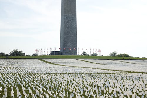 公園, 地標, 城市 的 免费素材图片