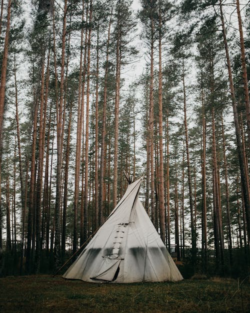 Tent in the Middle of a Forest