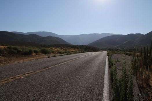 Empty road stretches into the horizon through a tranquil countryside setting under a clear blue sky.