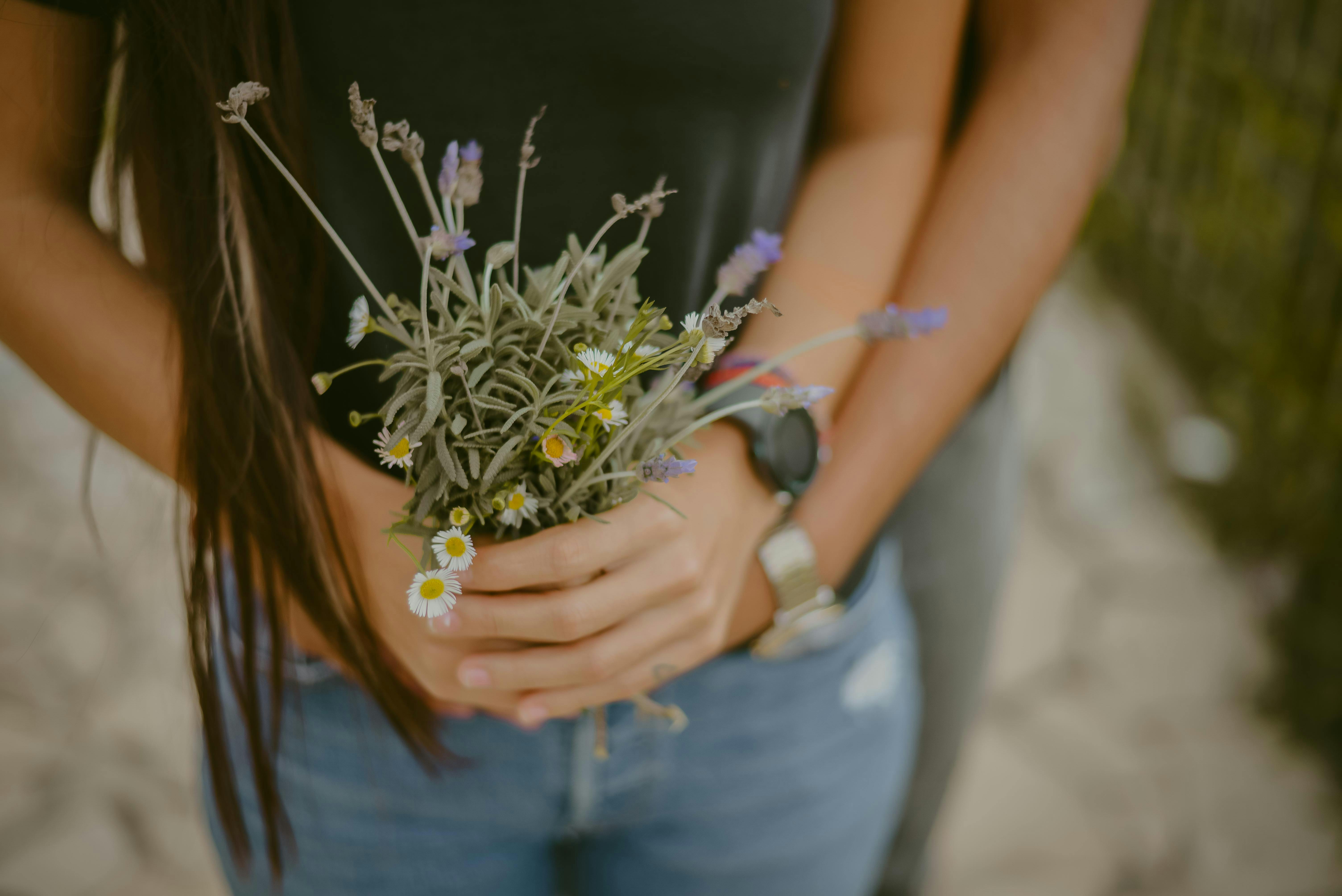 Cultura de plante medicinale și aromatice în Oltenia: De la cultivare la procesare