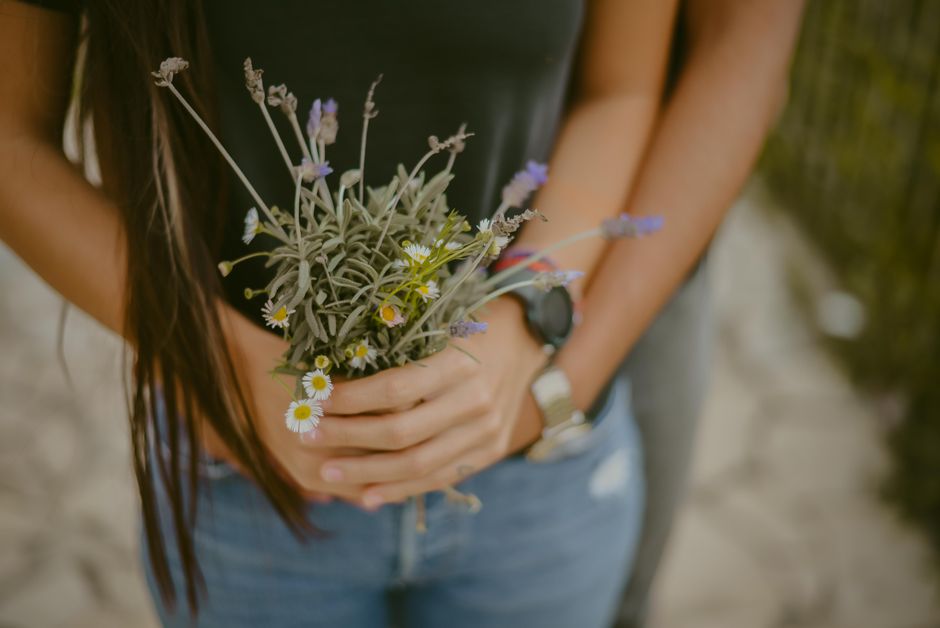 Cultura de plante medicinale și aromatice în Oltenia: De la cultivare la procesare