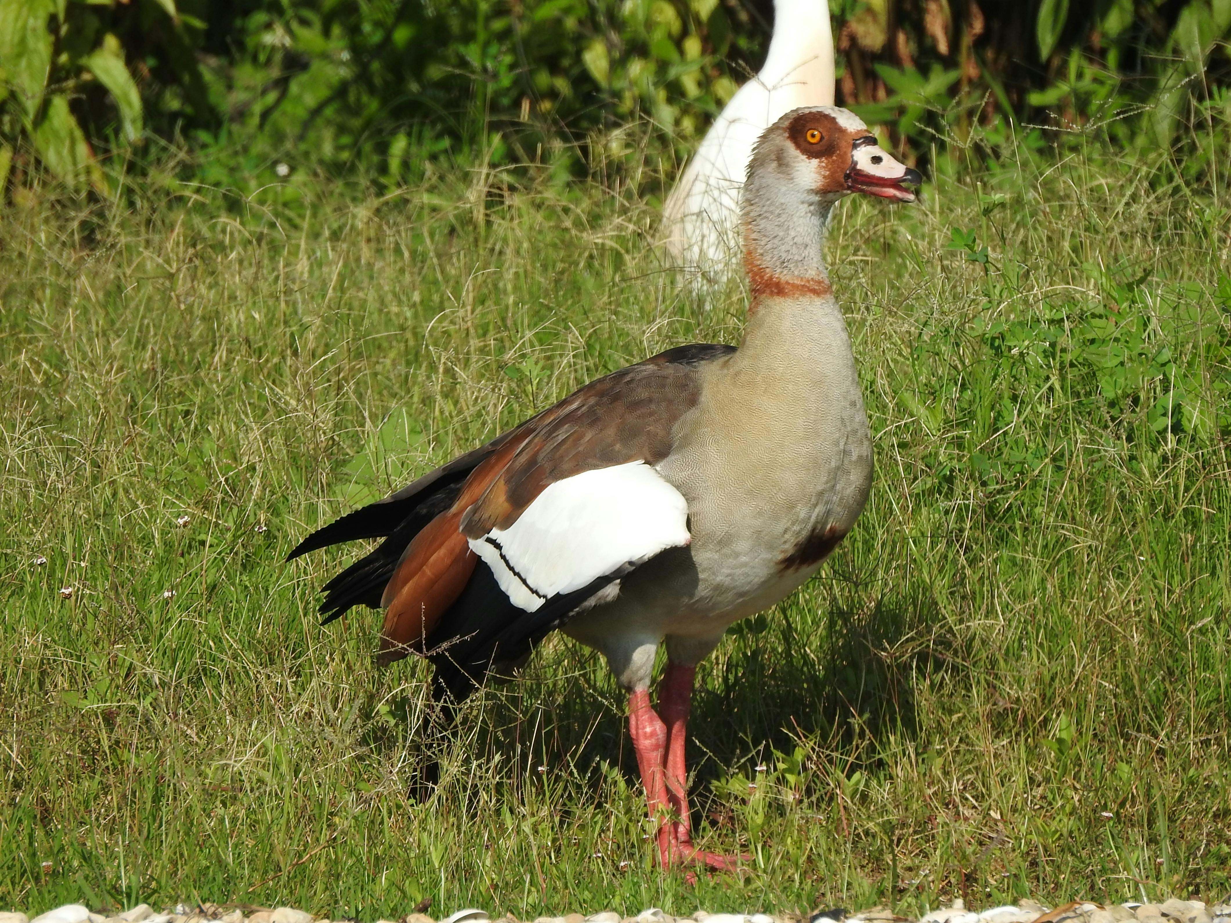 Claudia Herrmann 写真