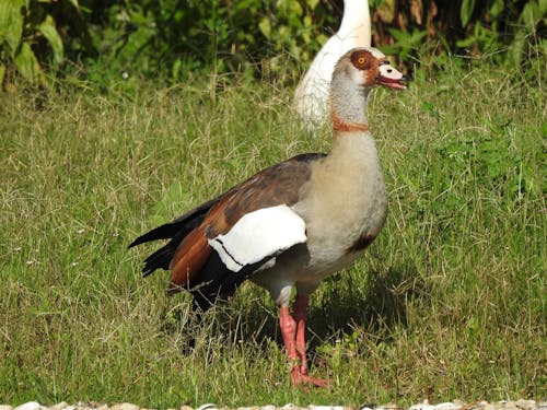 Claudia Herrmann 写真