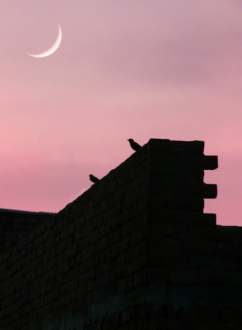 ay fotoğrafçılığı, dar açılı çekim, dikey atış içeren Ücretsiz stok fotoğraf