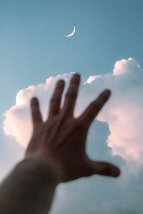 Persons Hand Under Blue Sky