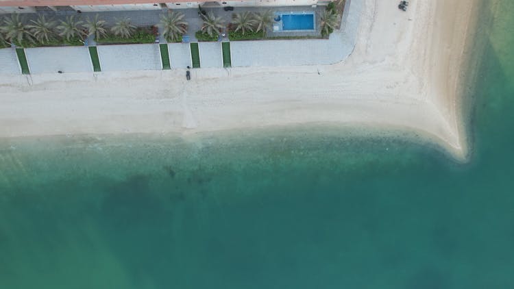 Exotic Beach With Palm Trees