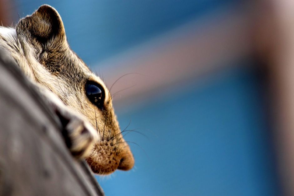 India's Snabbit Eyes $400M Valuation in Fresh Funding Round