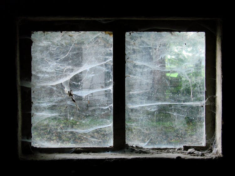 A Window With Cobwebs