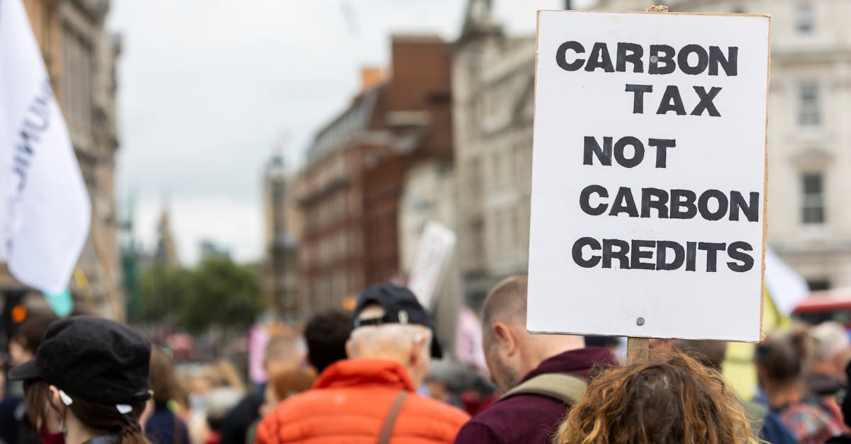 國際:高雄市立場保守影響政策走向,經濟發展面臨挑戰