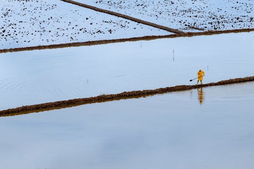 Free Person in Yellow Jacket Walking on Snow Covered Field Stock Photo