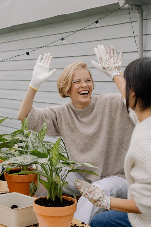 Foto stok gratis angkat tangan, berkebun di rumah, Daun-daun