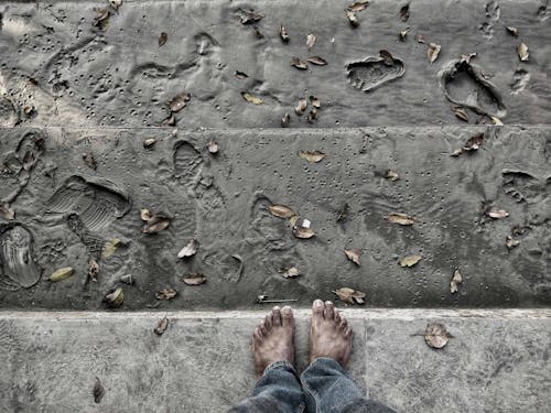 Free stock photo of dry leaves, loneliness, mud