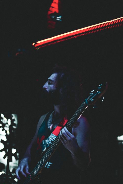 Free A bassist captivates the audience with a soulful performance under moody lighting. Stock Photo