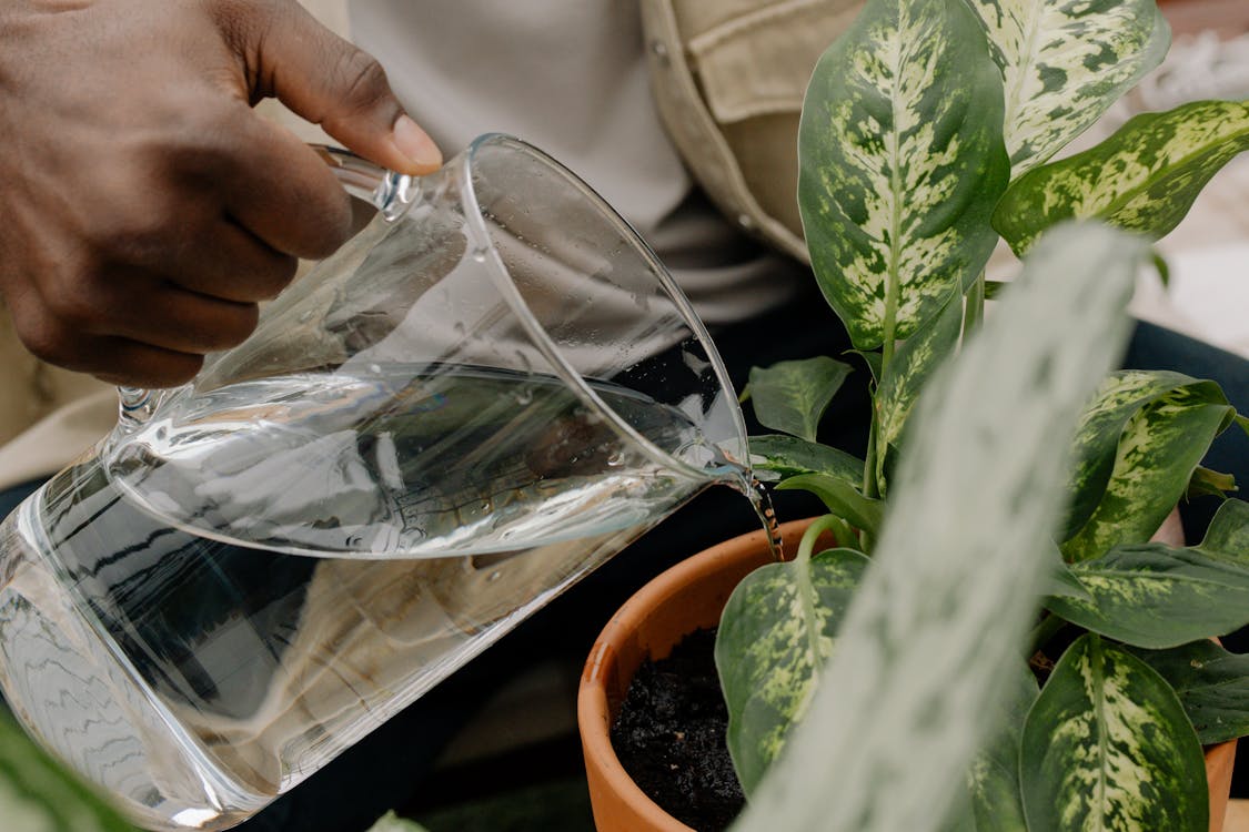 Foto de archivo de una persona sosteniendo un vaso transparente para beber