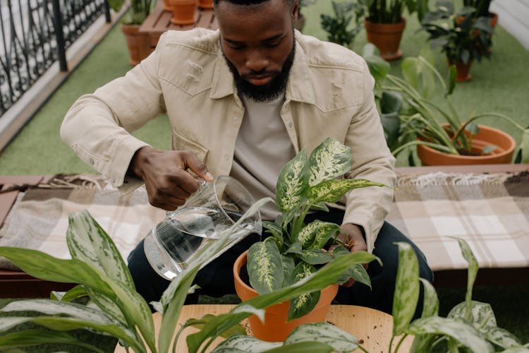 A Man Watering A Plant