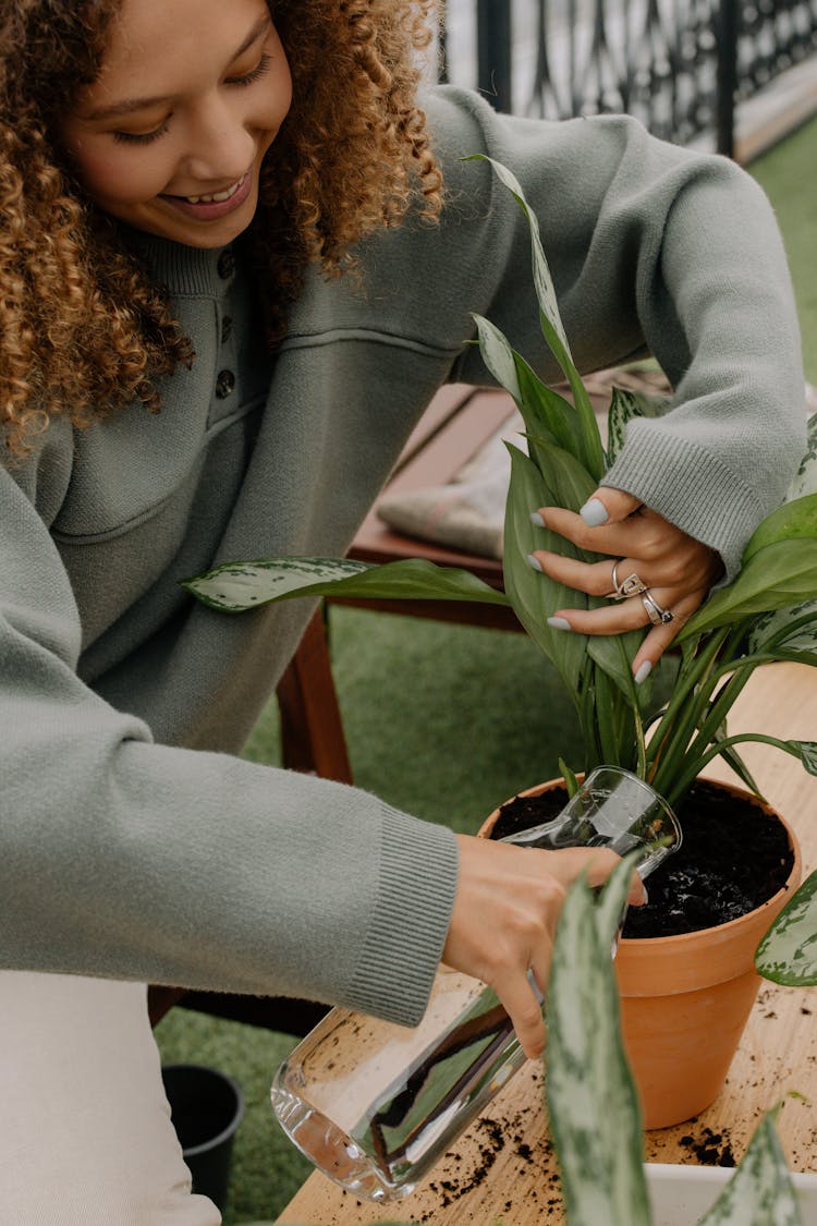 Photo Of A Woman Watering Plant