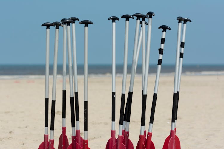 Boat Paddles Stuck In The Sand On The Beach 