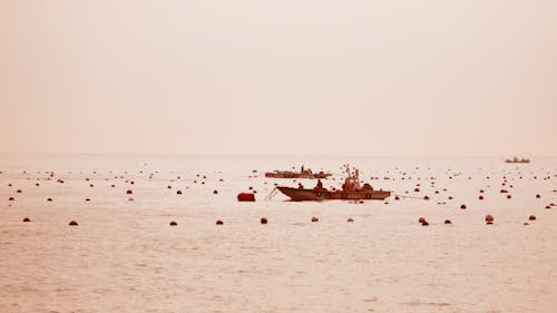 Δωρεάν στοκ φωτογραφιών με αλιεία, αλιείς, ανοικτό νερό