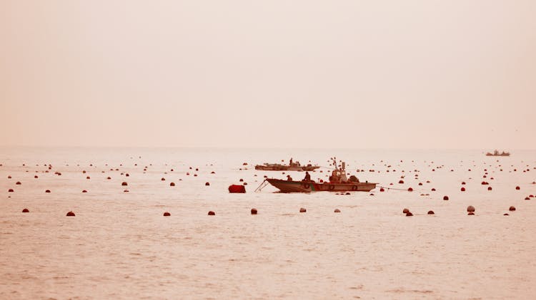 Fishermen On Sea