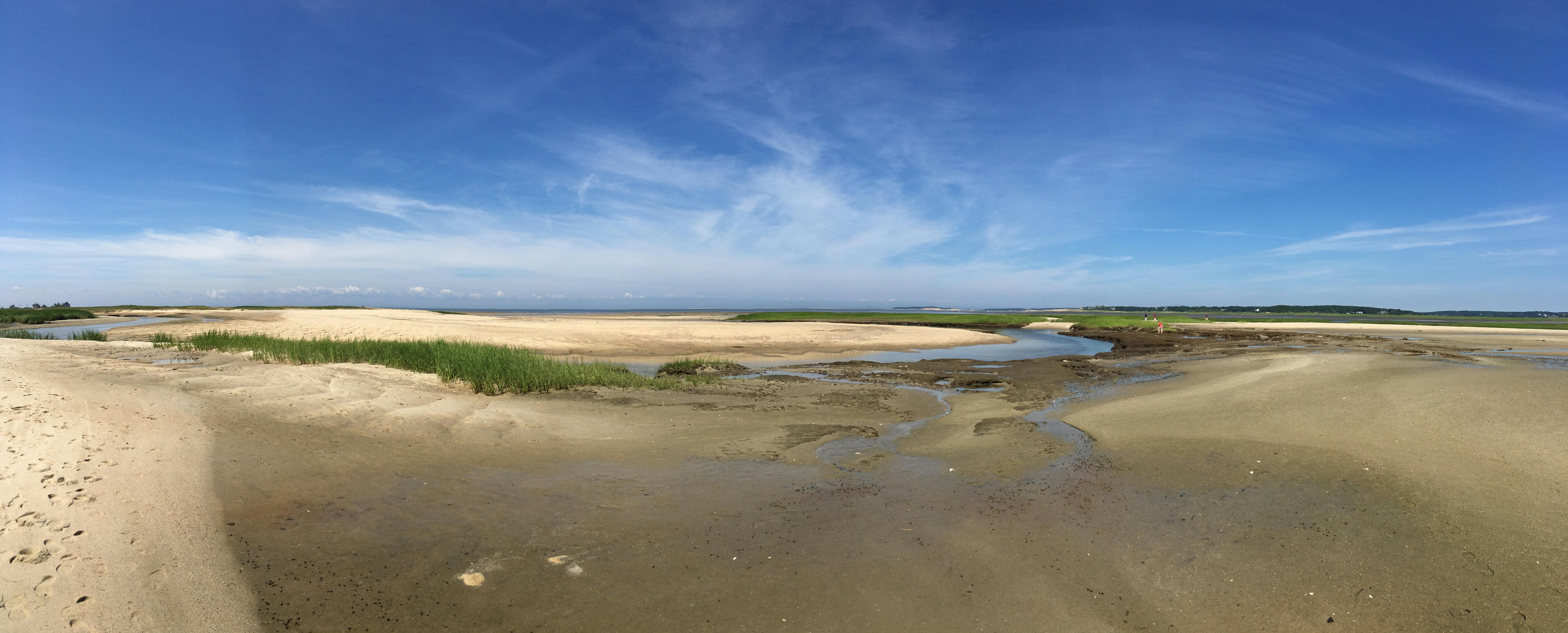 Cape Cod's Wellfleet Bay at the Mass Audobon Society [1260x750] [OC