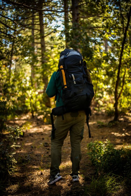 Free Man Carrying a Backpack Walking in the Forest Stock Photo