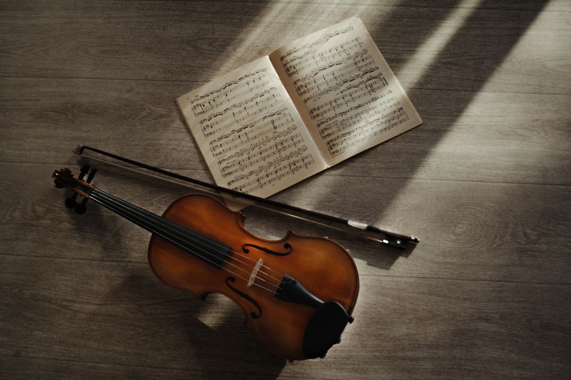 The violin