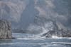 Free Gratis arkivbilde med bølger, grå, hav Stock Photo
